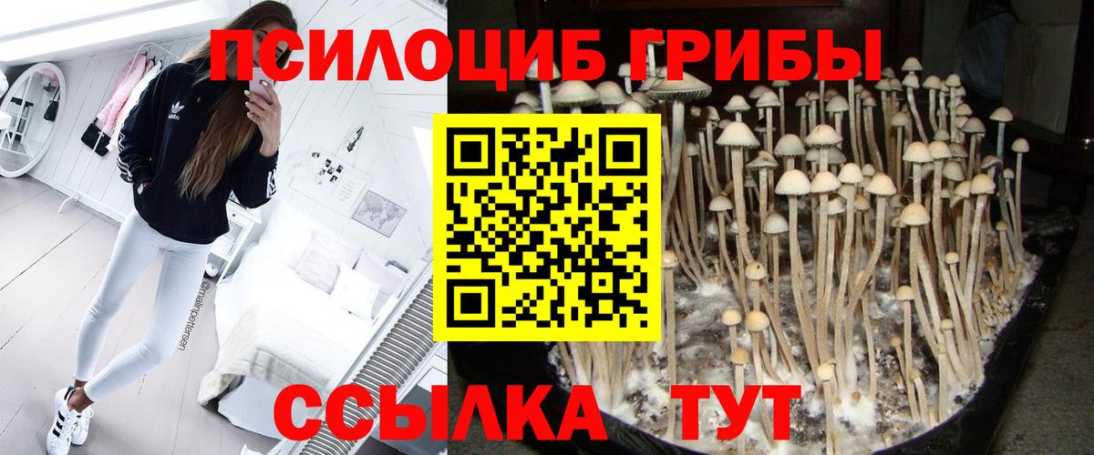 Псилоцибиновые грибы MAGIC MUSHROOMS  Вход с VPN  закладка  Железноводск 